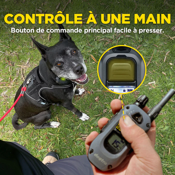 Dogtra 640X 1-Hunde-Gerät, Bild 2 von 8