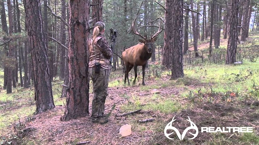 15-Yard Files: Female Bowhunter Stares Down Giant Bull Elk at 4 Yards