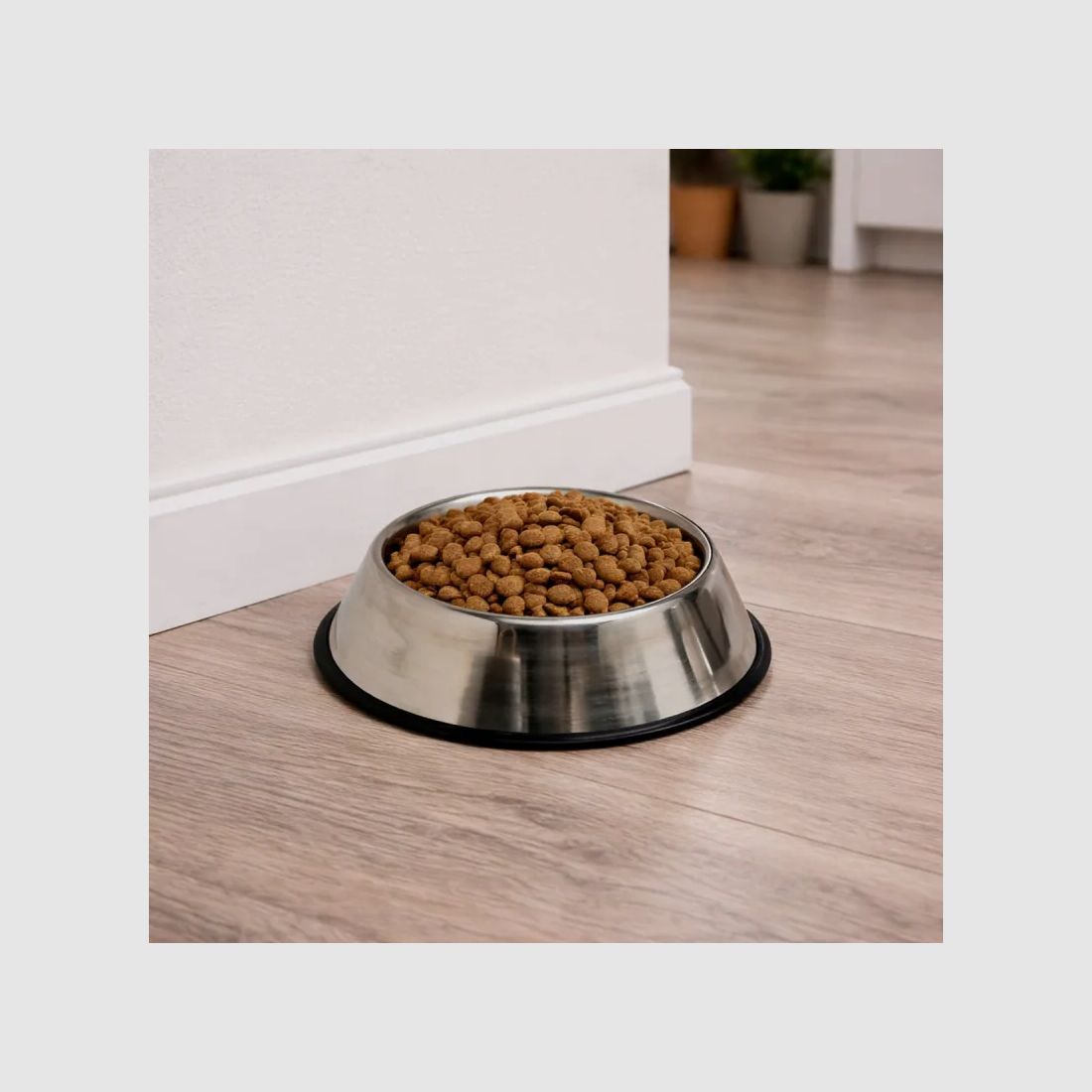 Gamelle pour chien inox Diam. 24 cm -180 ml, image 1 sur 7