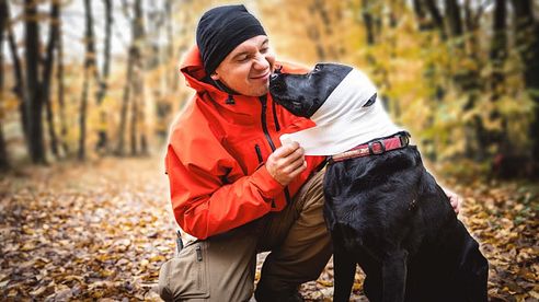 HUND VERLETZT 😱🩸- Erste Hilfe am Hund | Niklas on fire