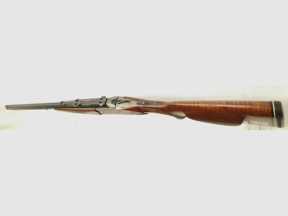 Blaser ES67