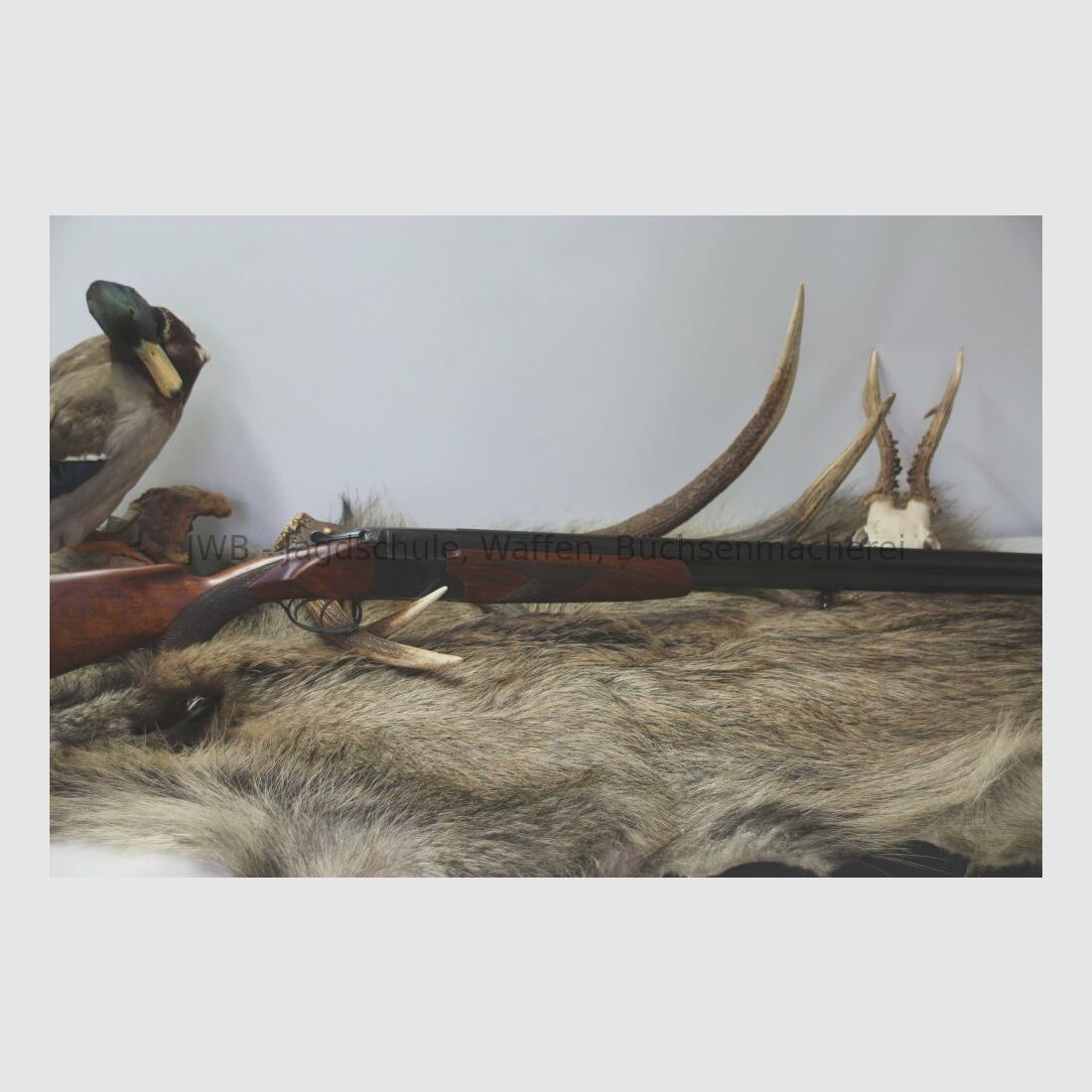 Baikal Bockflinte 12/70