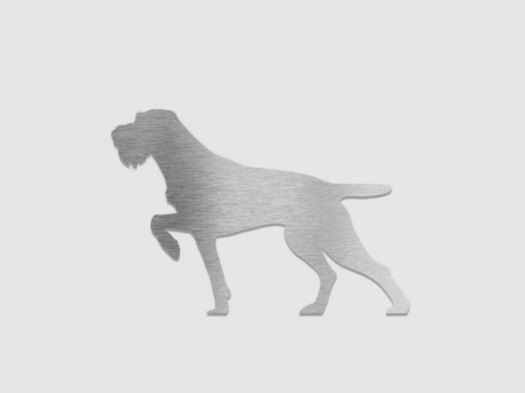 Pin decorativo "Drahthaar"