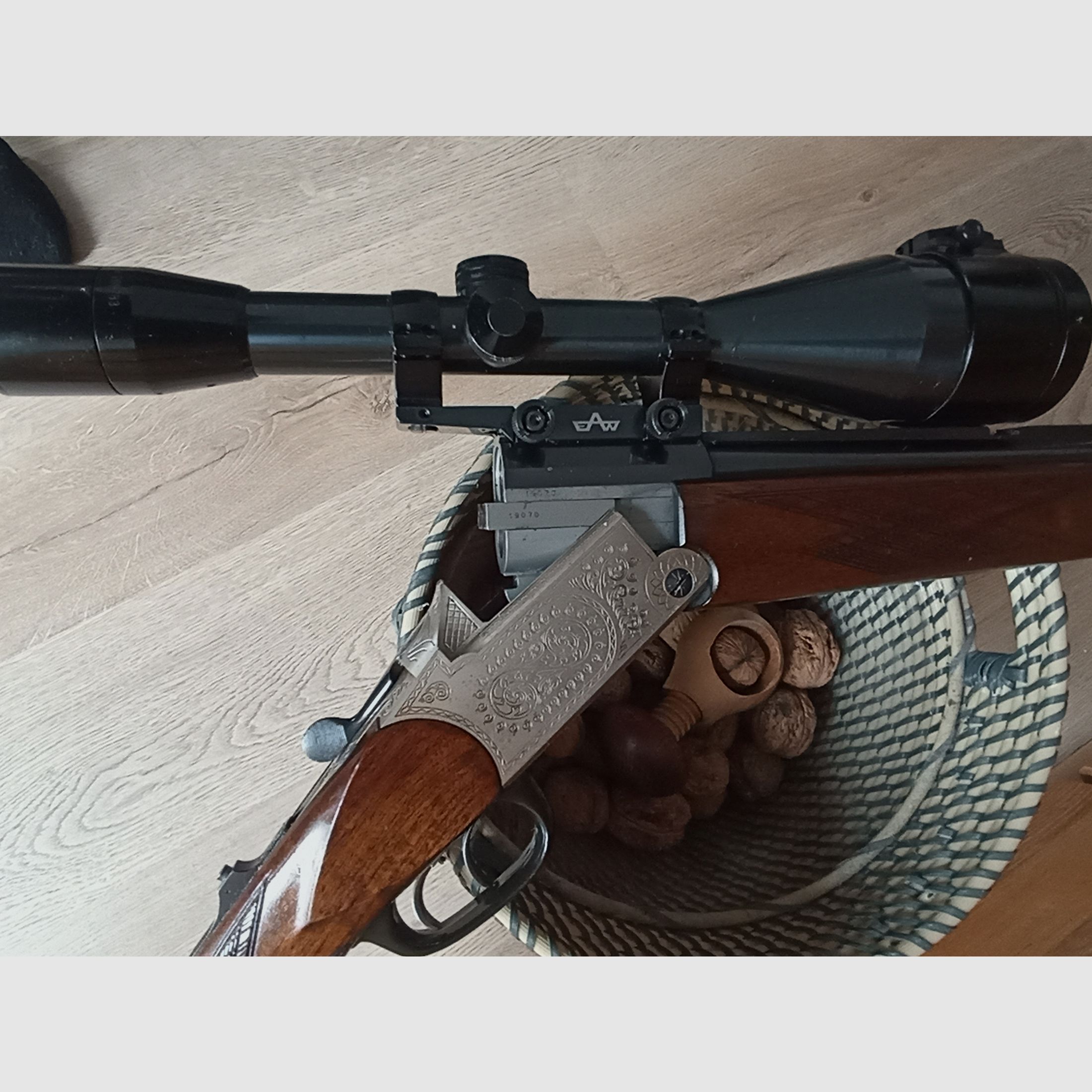 Blaser es 67