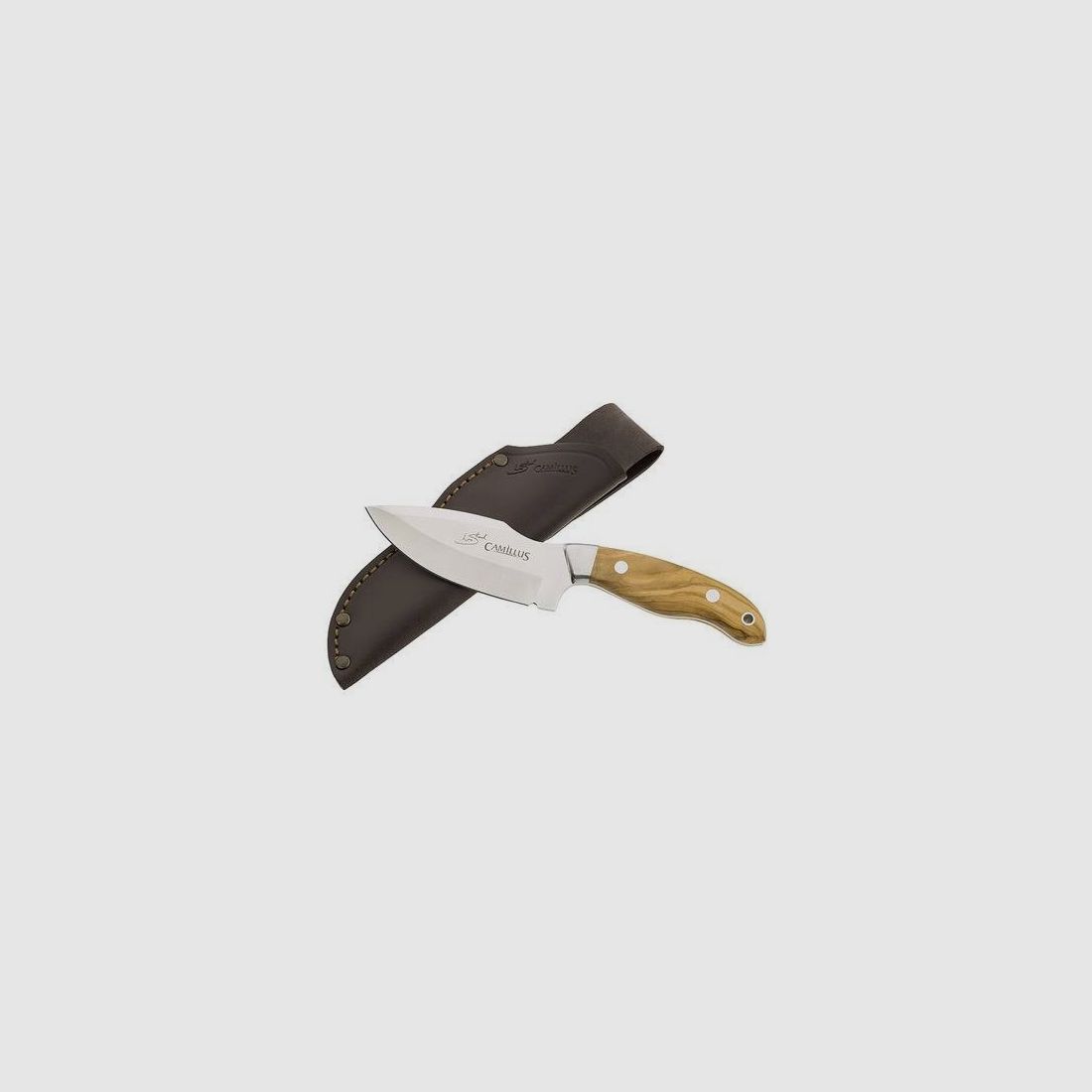 Hunting Knife CAMILLUS LES STROUD CORAJE ERGO, image 3 of 4