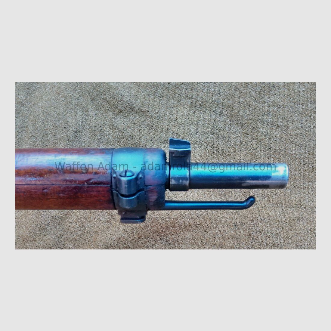 W+F, Fabbrica federale d'armi di Berna Fucile a otturatore G11, Grigioni, immagine 8 di 9
