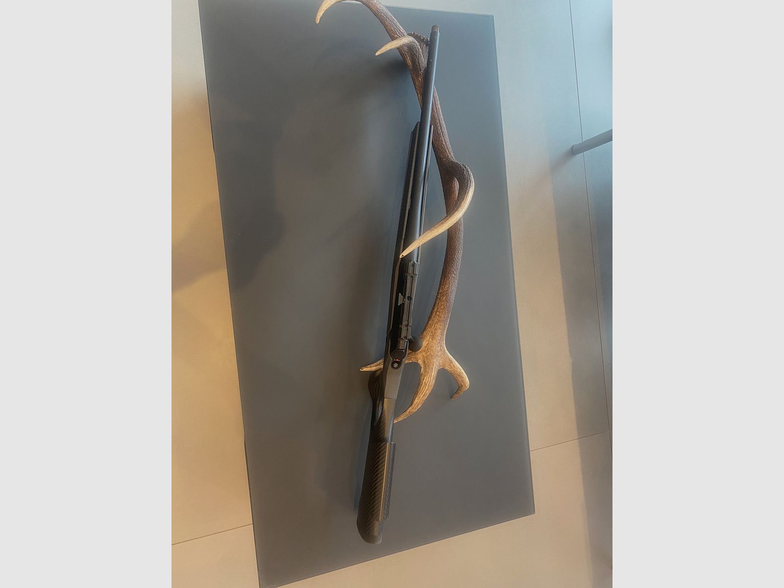 Sauer 202 carbon stock caliber 308