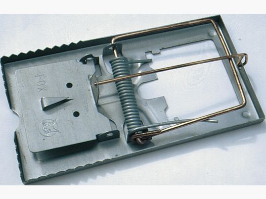 Rat trap "Killer