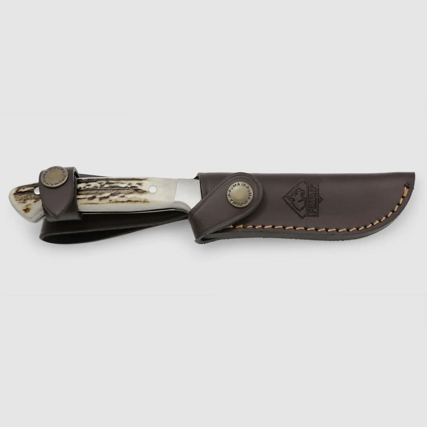 PUMA IP pal 240, stag horn