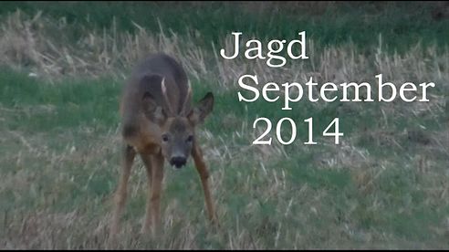 Jagd September 2014