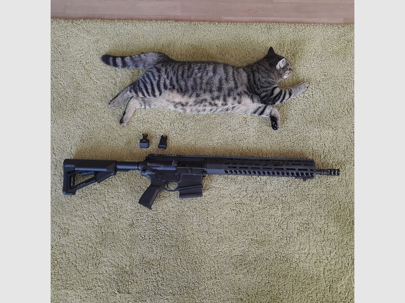 Like new - Sig Sauer 716 G2 Patrol with Geissele trigger and Magpul STR stock, image 1 of 10