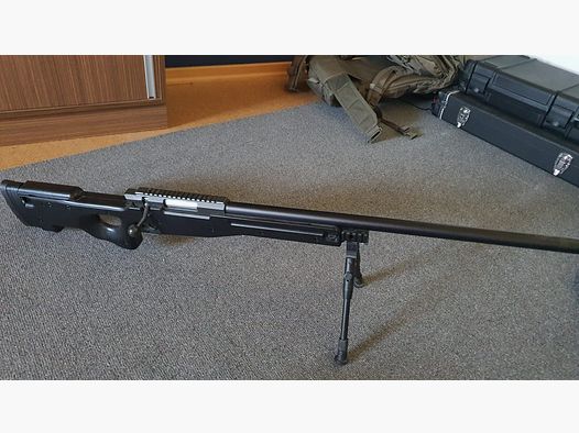Well L96 Federdruck