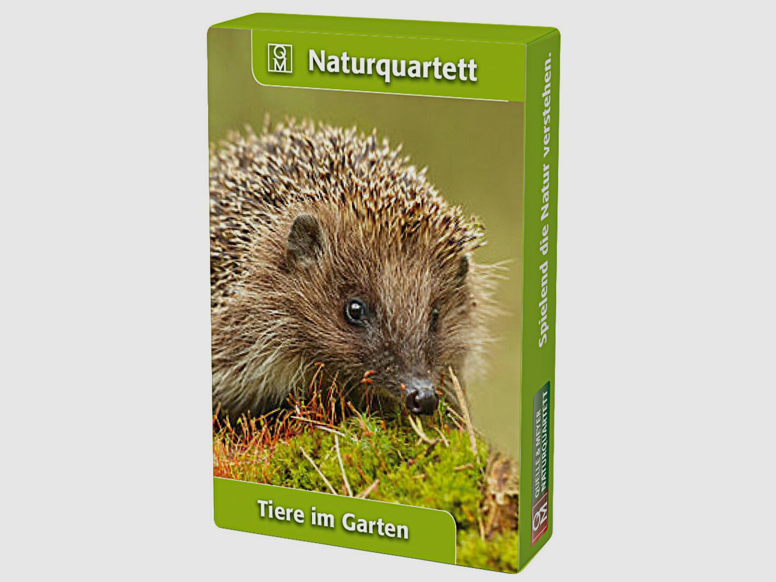 Naturquartett Tiere im Garten