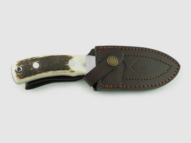 PUMA IP cinghiale, cervo (Assegnazione del Cinghiale d'Oro 2012)