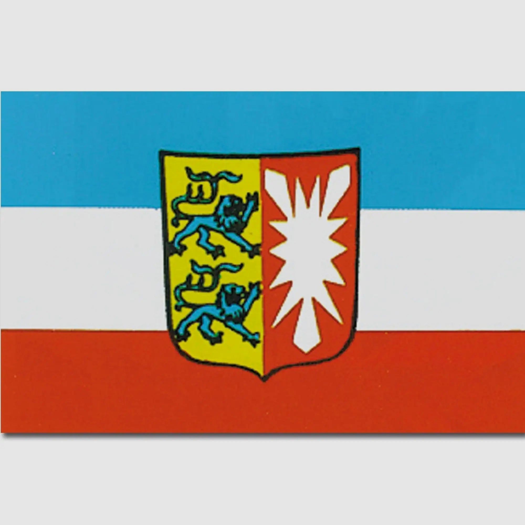 Diverse Flagge Schleswig-Holstein