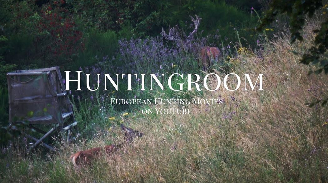 Huntingroom Jagdfilme - Hirsch, Sauen und Rehbockjagd (Stag, Wildboar & Buck Hunting Movies in HD)