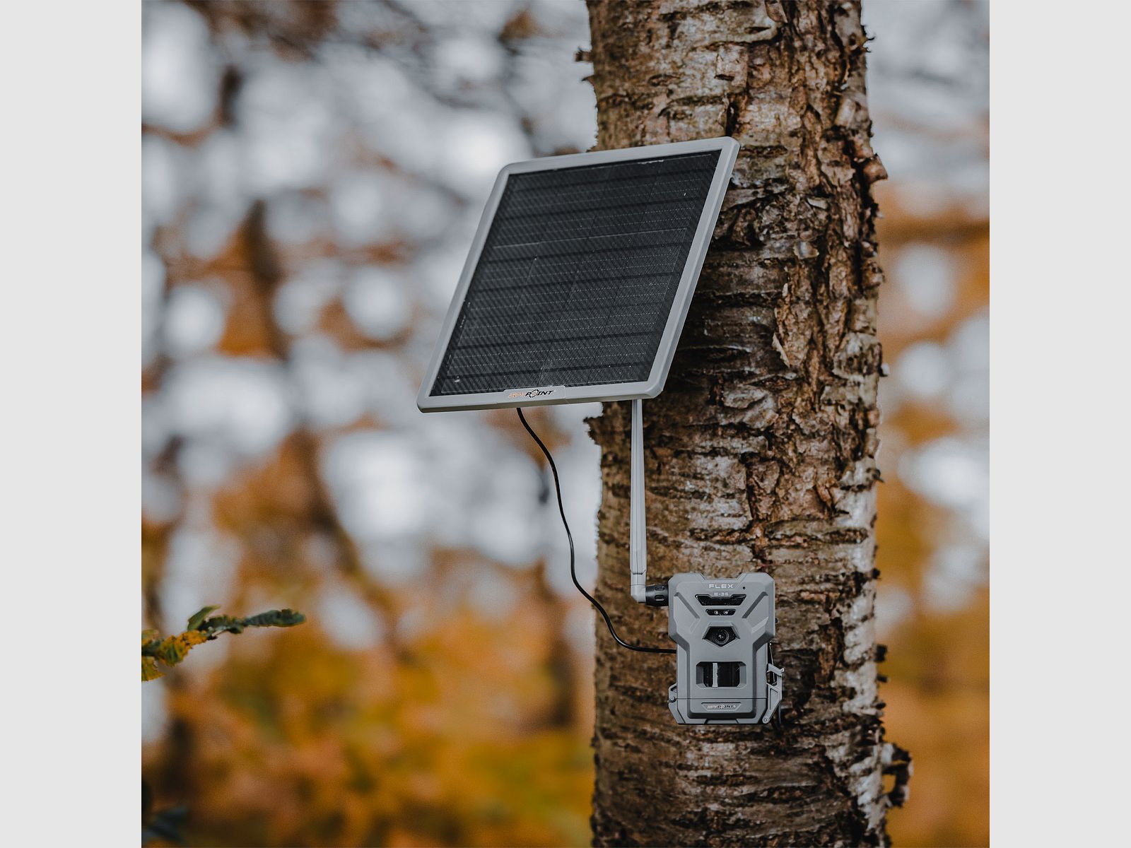 SPYPOINT Power Bank Solare, immagine 13 di 14