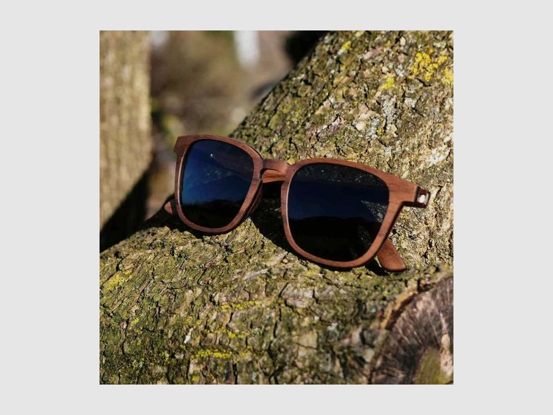 Lunettes de soleil Forest View en bois de noyer