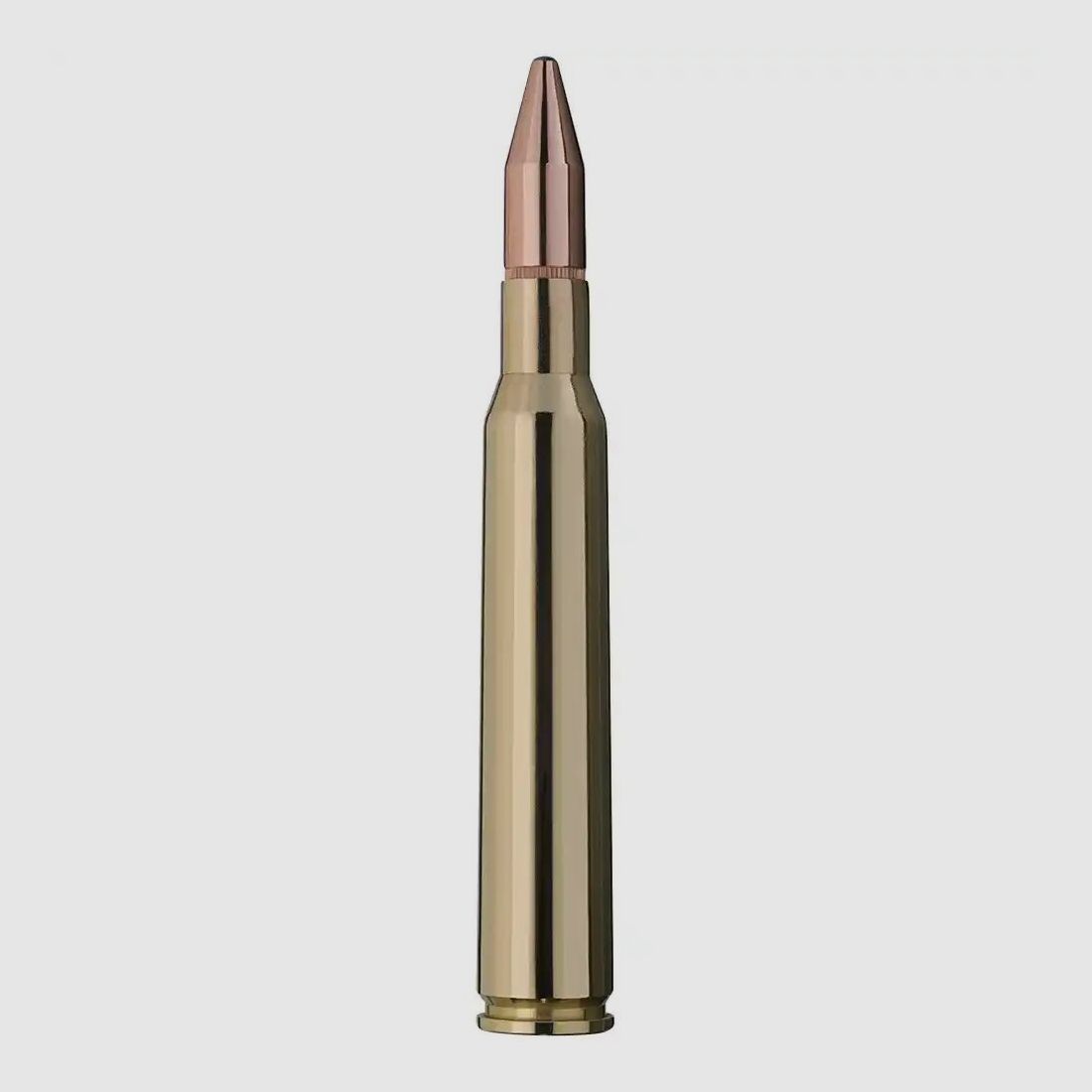 RWS KS 162grs - 20Stk