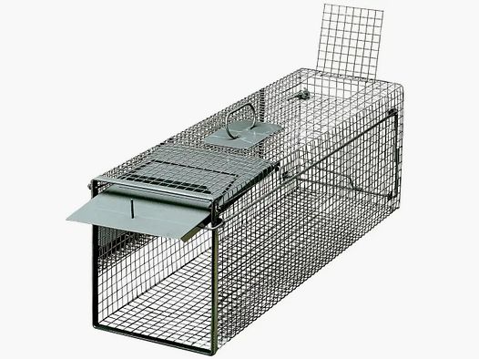 Frankonia trap live catch – single door folding doors