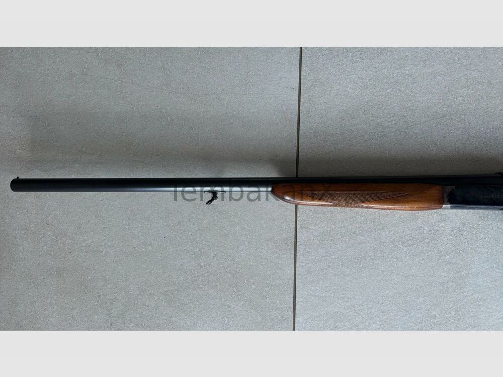 Aya Mod. Cosmos 16/70