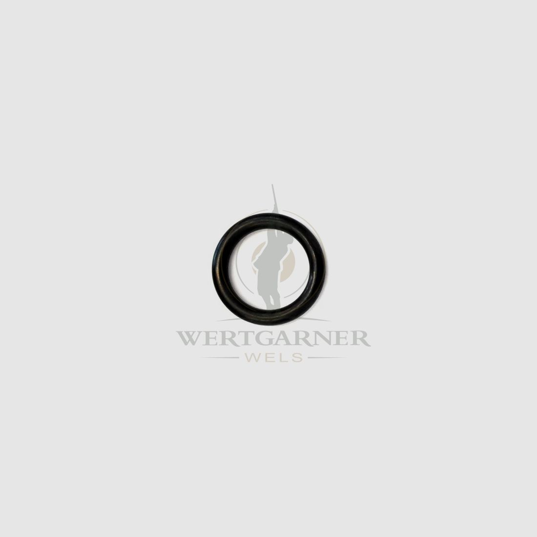O-Ring 7x25