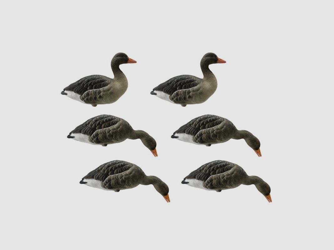 SET AUS 6 TEILEN FÜR WILDGANSFORMEN, Bild 1 von 4