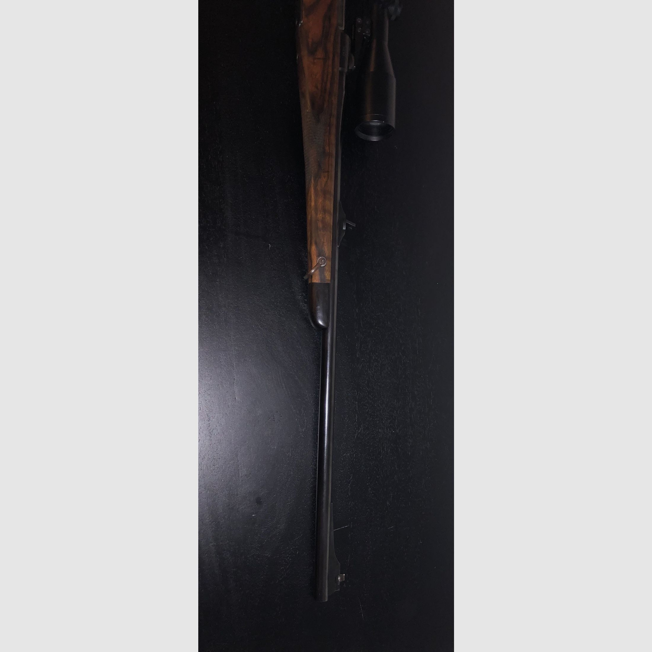 Schönauer Steyr 243 Swarovski Habicht