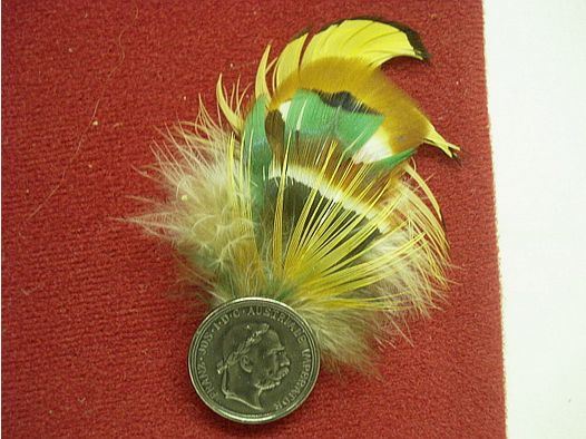 Hutfeder Jagd -