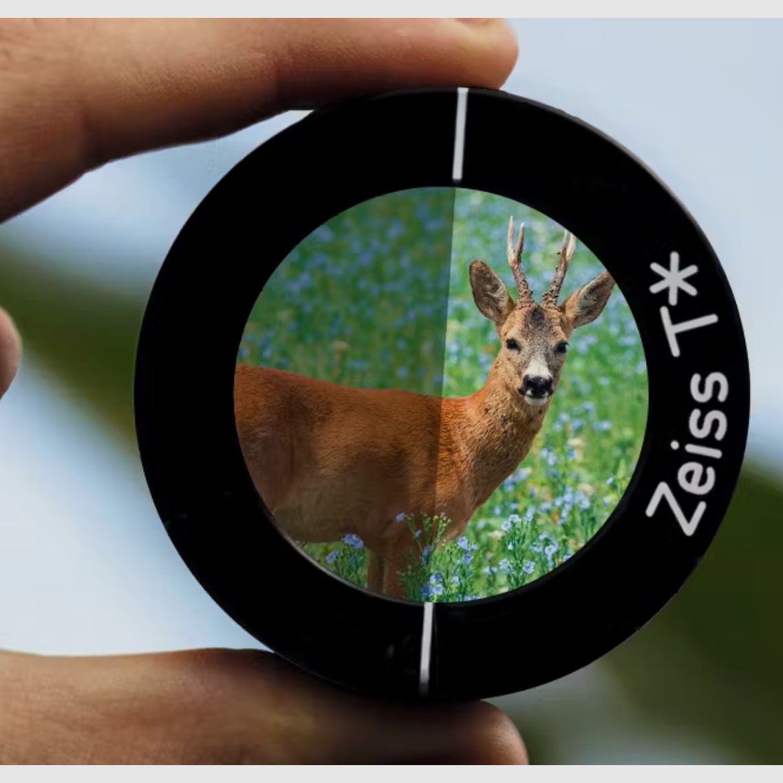 ZEISS Conquest HDX 8x42
