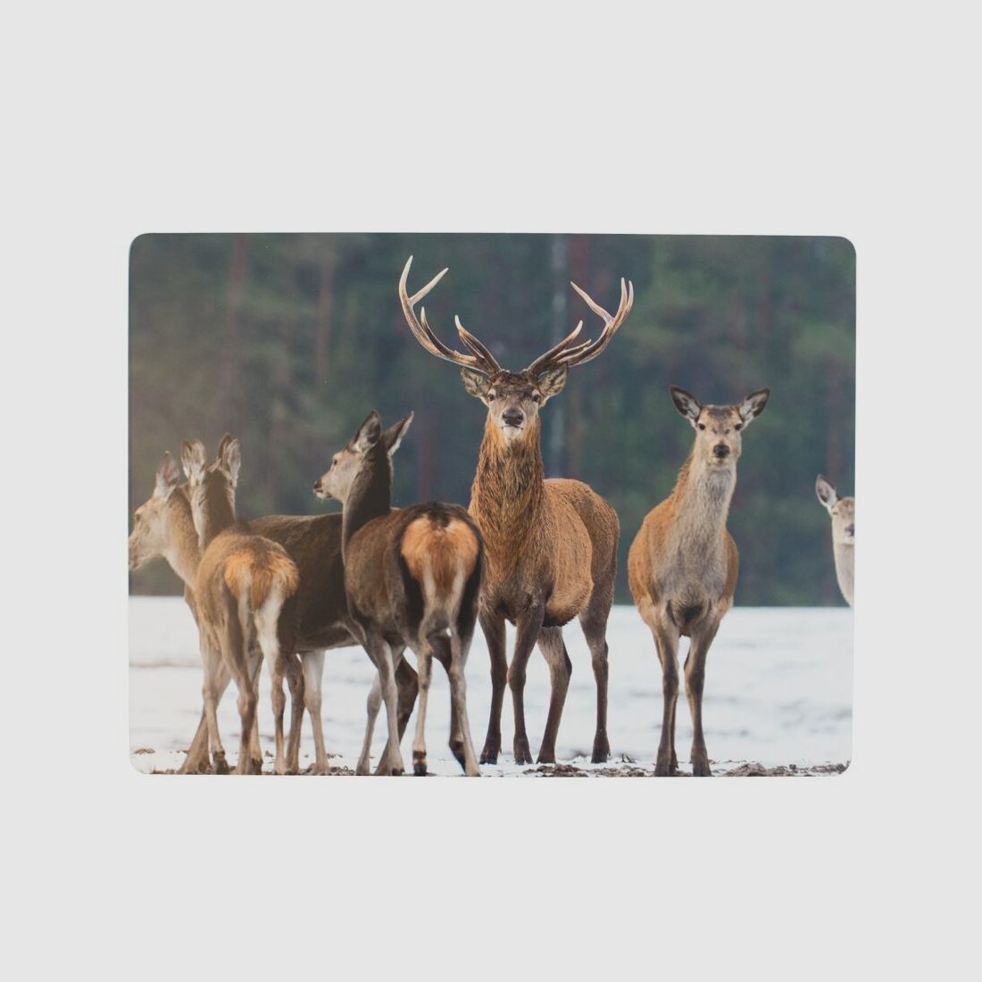 Lovergreen Kunst des Tisches Motiv Tischsets Hirsche im schnee x 6