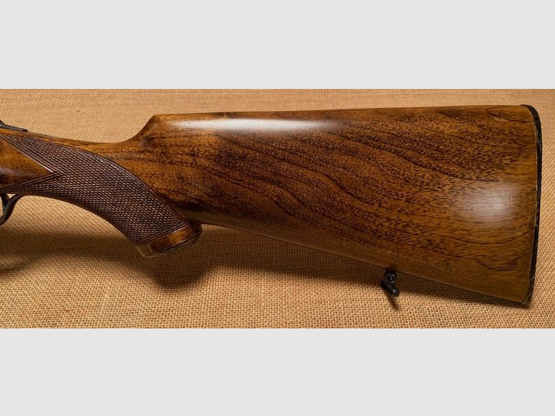 F.SARRIUGARTE ELOGOIBAR-ESPANS Hubertus 20