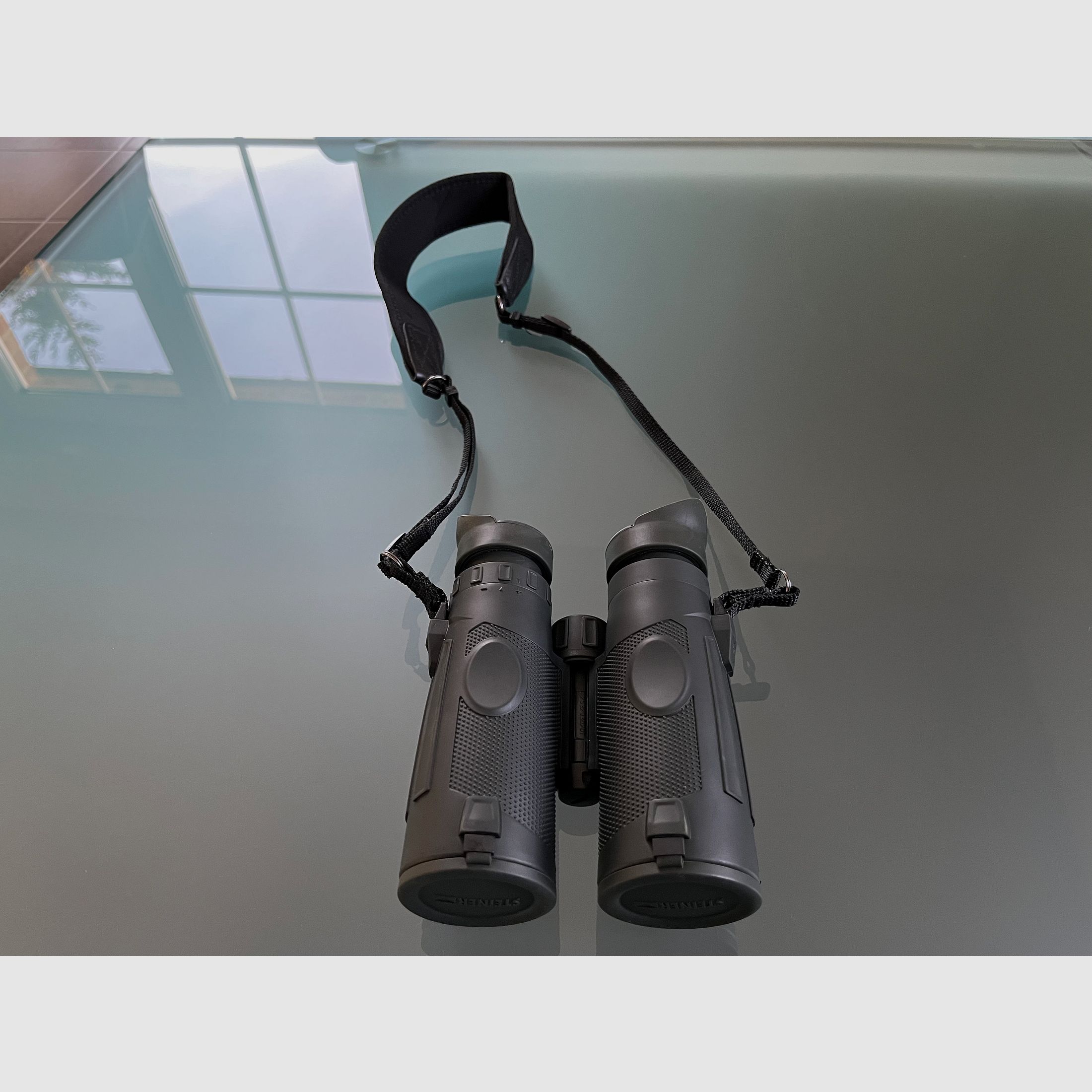 Steiner Xtreme 10x42 binoculars