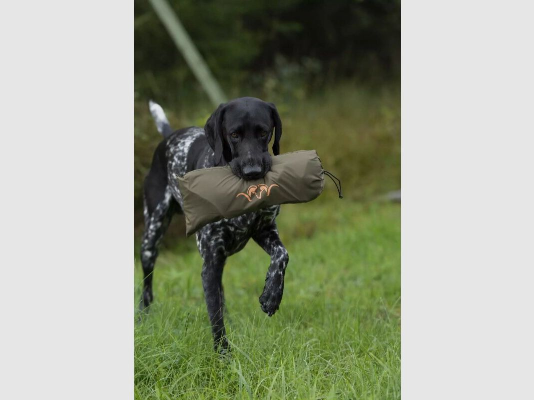 Blaser Hundedecke