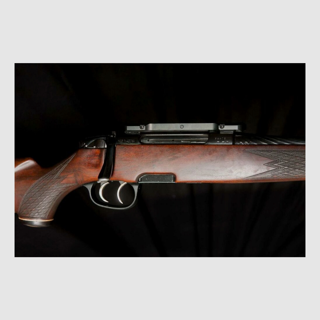 Steyr Mannlicher Stutzen M mit Dentler Montage