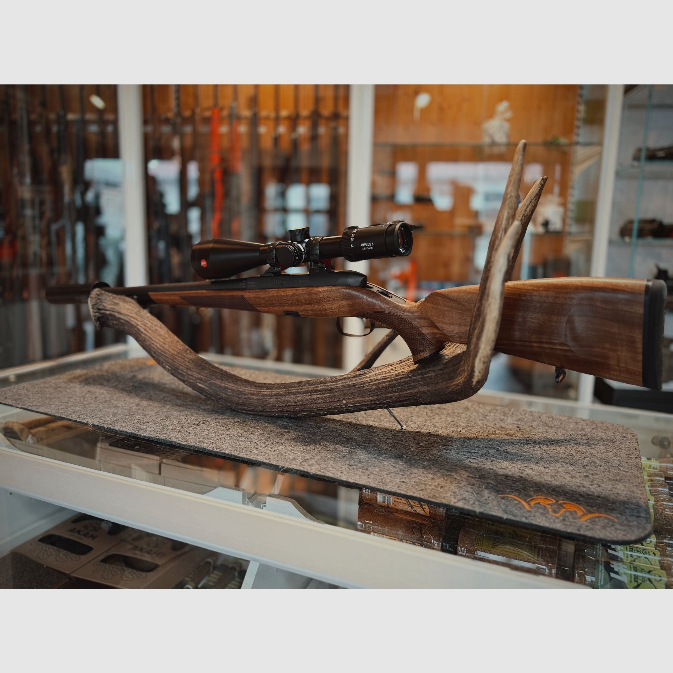 Steyr CL II Semiweight – Kal. .308 Win – Leica Amplus 2,5-15x56