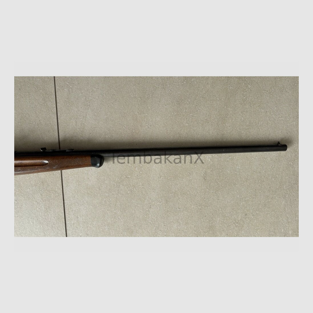 Anschütz .22lr