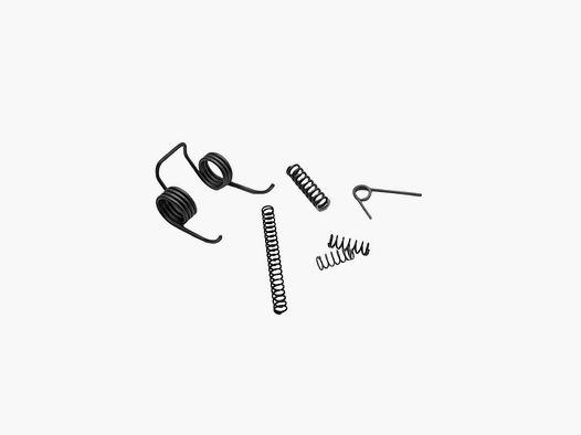 Eemann Tech Kit de muelles para CZ Scorpion EVO 3