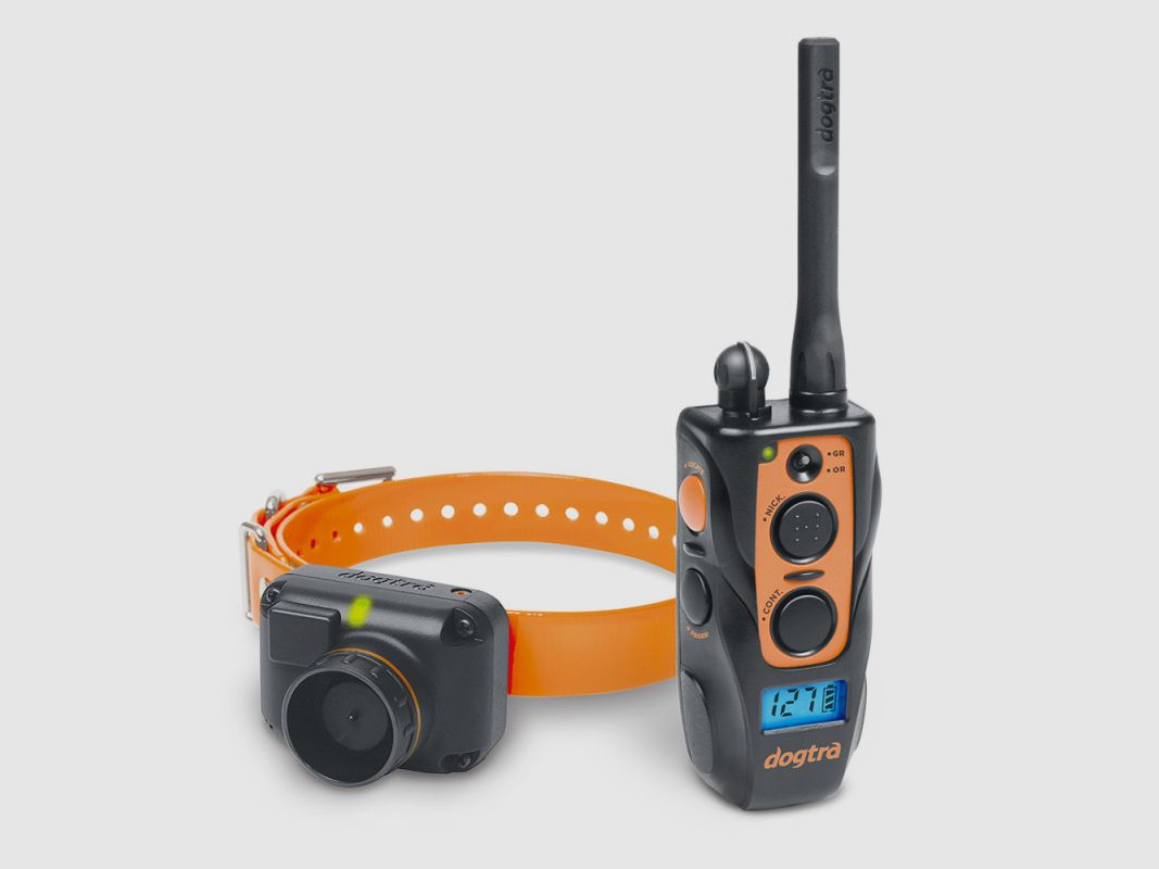 Halsband DOGTRA 2600 T&B, afbeelding 2 van 3