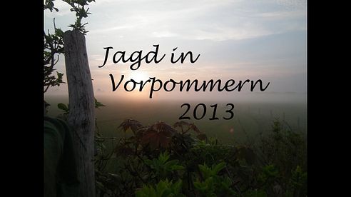 Jagd Mai in Vorpommern 2013 Bockjagd