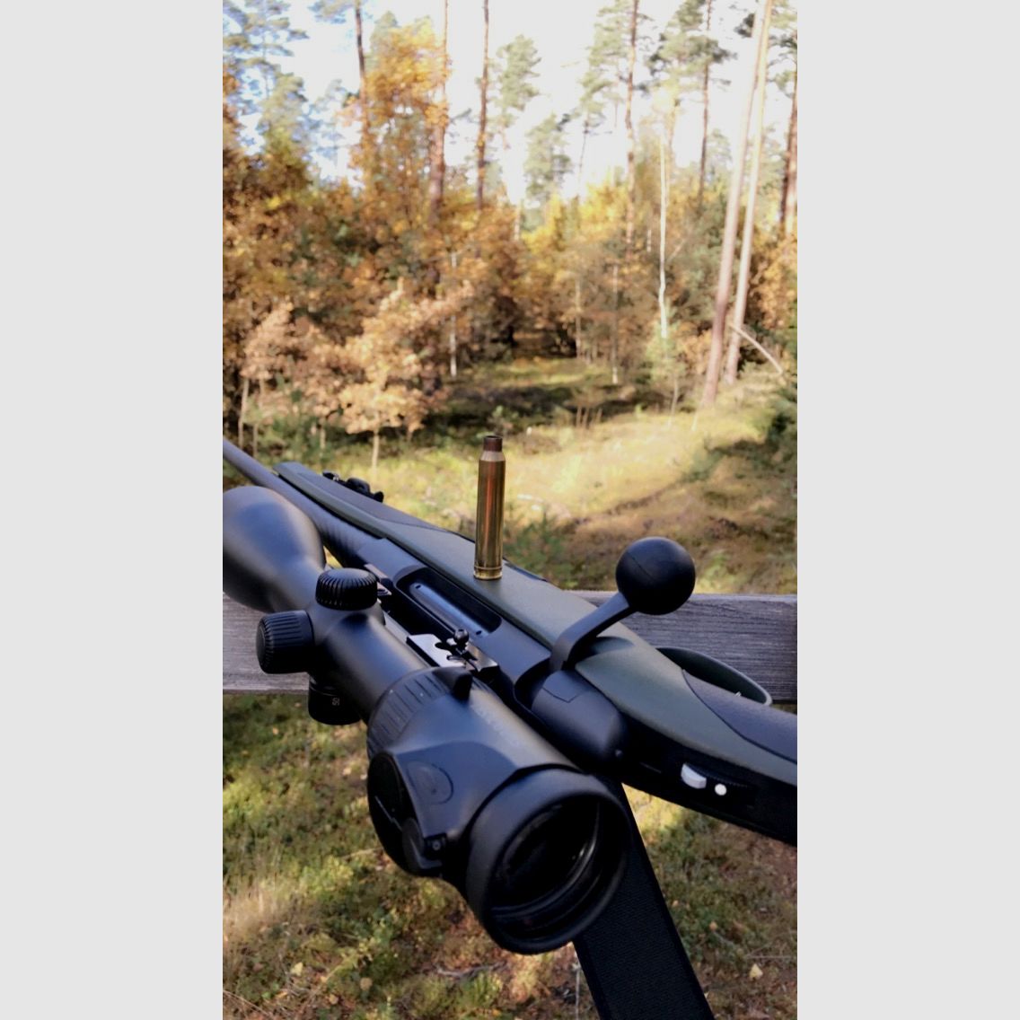 Steyr Cl2 SX .300 Win. Mag.