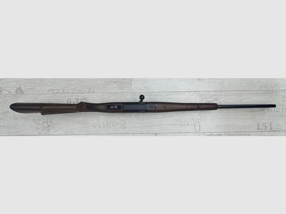 Mauser M96 .30-06Spring