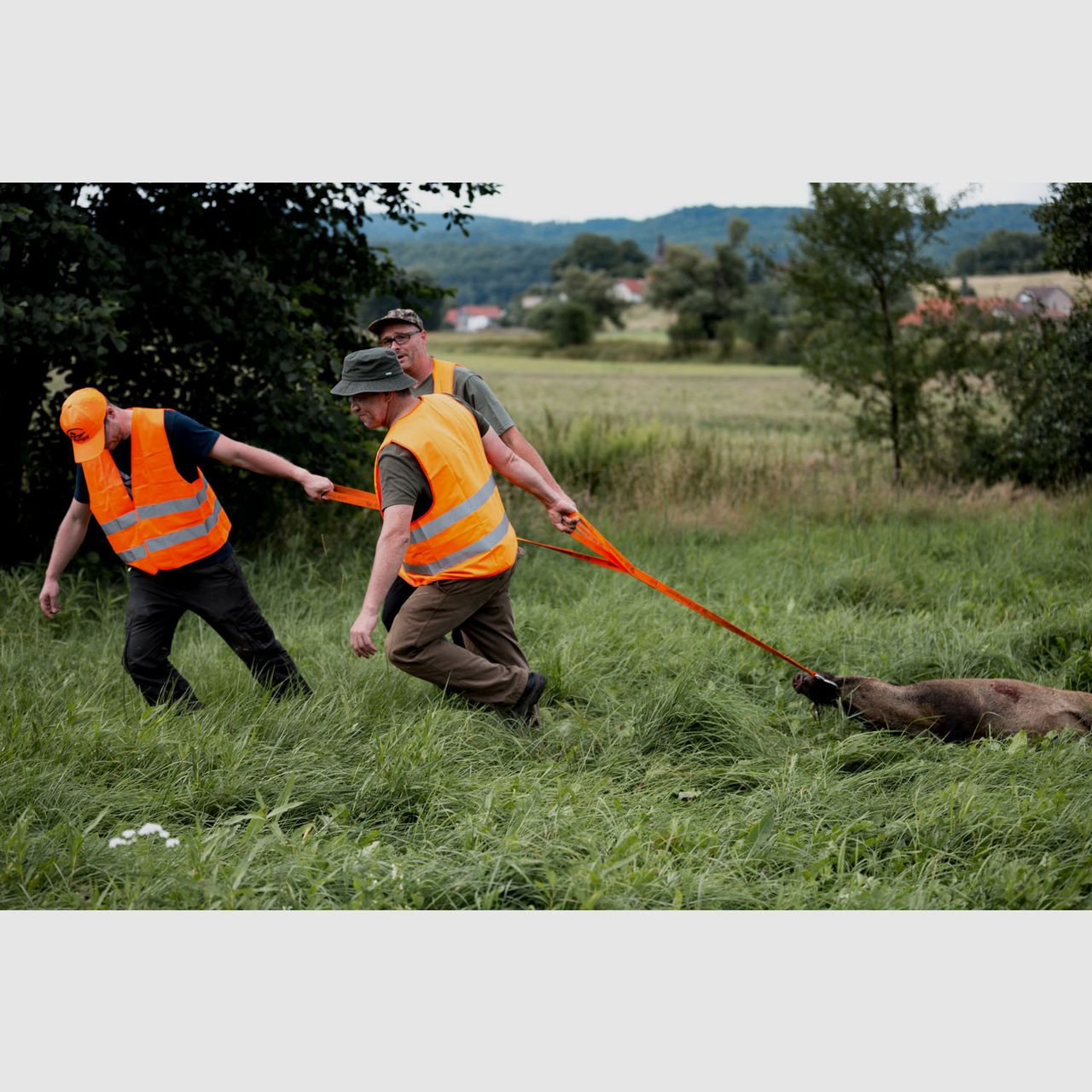 Waidmann Wild Schlepphaken XL, Bild 1 von 3
