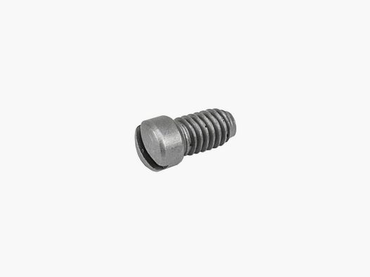 Smith & Wesson Sideplate Screw Round Head Inox Glass Beaded 216490000