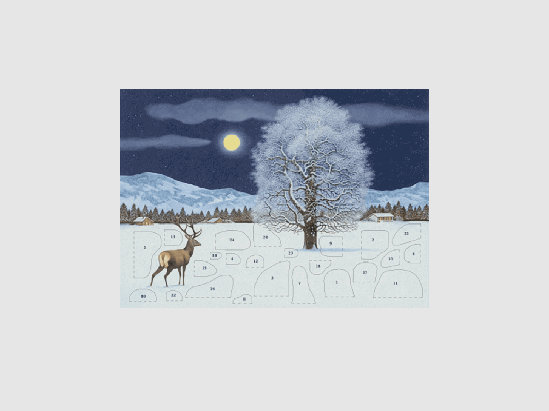 Grußkarte Adventskalender "Zauberhafte Winternacht"
