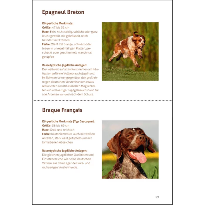 Hondenbrochure "Onze Jachthonden" - momenteel in herziening, afbeelding 5 van 5