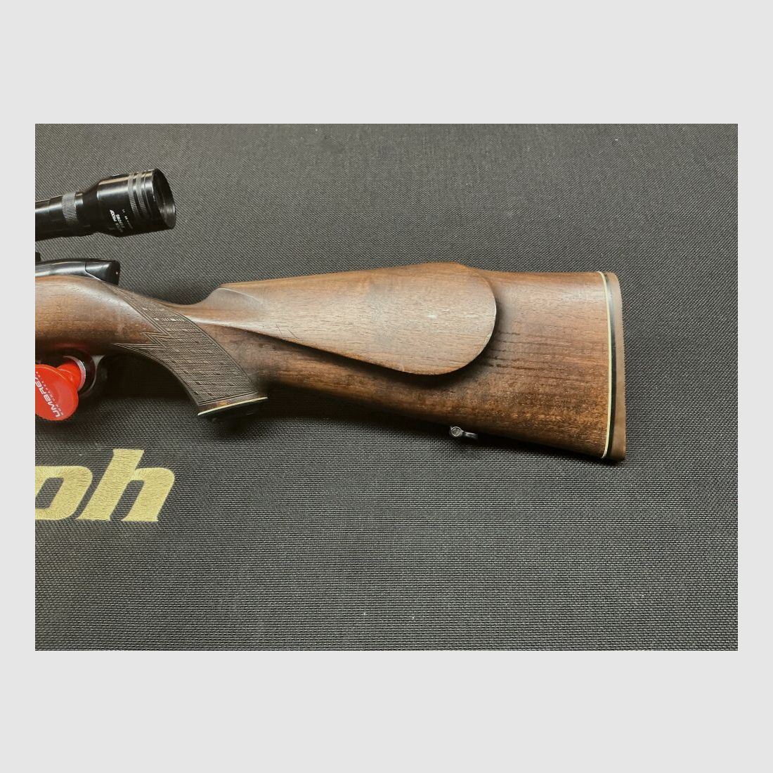 Steyr Without .243Win