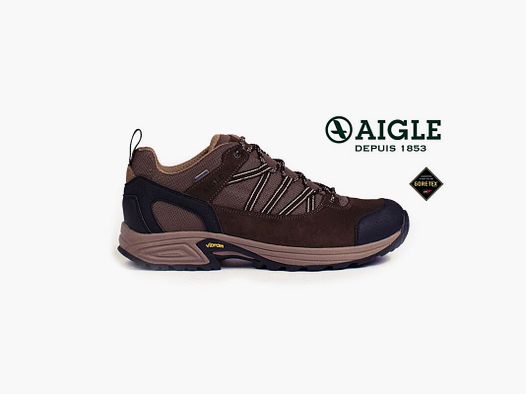 Aigle Halbschuh Mooven GTX Herren 39