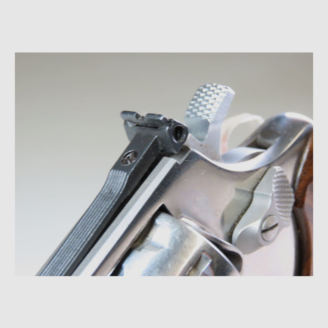 Taurus 94 in Stainless incl. Holster!