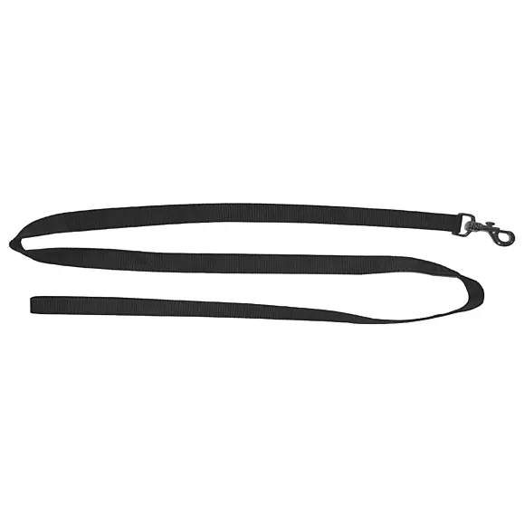 Nylon Hondenriem Zwart, afbeelding 1 van 2